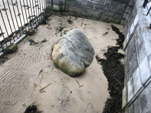 Plymouth Rock